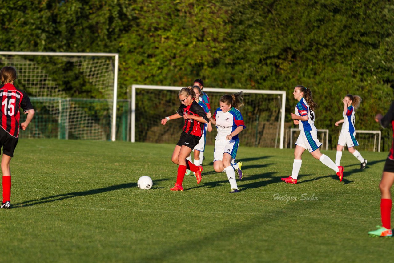 Bild 267 - B-Juniorinnen SG Wilstermarsch - SV Henstedt Ulzburg : Ergebnis: 5:1